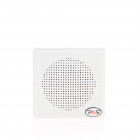 Настенный громкоговоритель PASystem ROX-3W