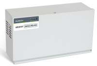 Рубеж ИВЭПР 24/2,5 RS-R3 2x12 БР
