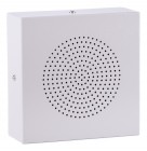 Громкоговоритель настенный Roxton WS-06T
